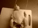 The singing broiler The singing broiler