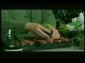 winter_gardening.mp4