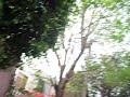 ´03 Aprilia RSV 1000 sound