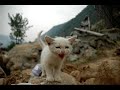 Bad Day - Earthquake in shichuan Bad Day - Earthquake in shichuan