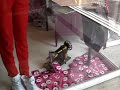 AlterEgo, moda en bogota