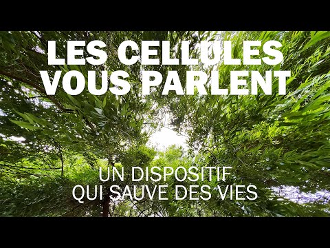 LES CELLULES VOUS PARLENT