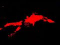 ALGOLAGNIA #6_Red Pain