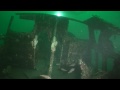 dornier DO 24