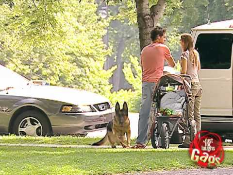 Dog Runaway with Baby