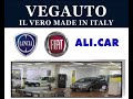 Concessionaria Lancia - Fiat - Ali.Car - Vegauto a Viterbo