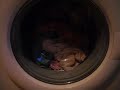Miele W 758 + Siemens WM 12A160 (Part 2/5)