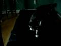 videos de freewaysresolution