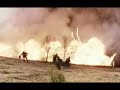 Metallica - Sad but true(War of the Worlds)