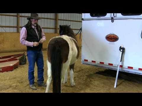 how to measure a horse for a blanket