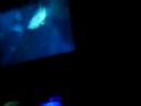 Veracocha - Carte Blanche (Michael De Kooker Remix) @ Istmo Nights El Salvador 25-10-08