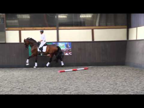 how to collect at the canter