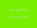 gitano despeinao