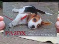 PA2DX QSL-Card
