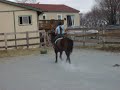 November 2007Kayla-black icelandic named EsjaMe- Dun fjord/haflinger named AcornNO MEAN COMMENTS!!!!!!