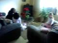 videos de Cumpleano de Brianna 9