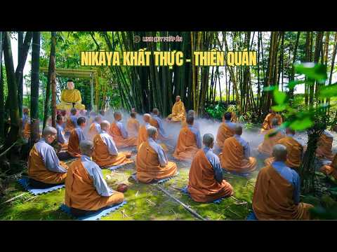 NIKAYA Khất Thực - Con Đã Về Trúc Lâm - Y Phước Điền - Bình Bát Khiêm Hạ