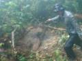 videos de OutCrop Mentari Coal Site Padang Lawas North Sumatra Indonesia