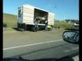 Venta ilegal de animales