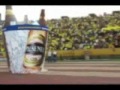 Activaci�n Ecuador vs Colombia 2008