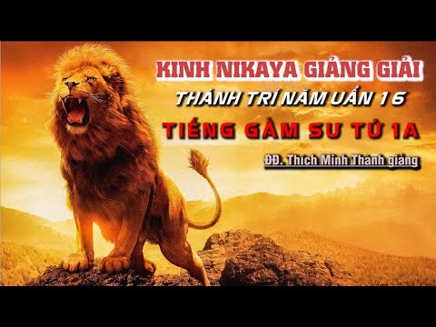 Kinh NIKAYA Giảng Giải – Thánh Trí Năm Uẩn 16 – Tiếng Gầm Sư Tử 1A