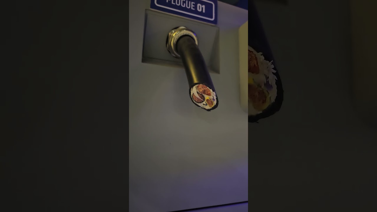Tem como um país dar certo assim?