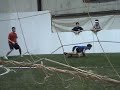 Dodgeball Dodgeball