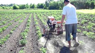 Мотоблок Мустанг -окучиваем картошку.MP4