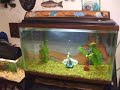 BEDROOM FISH TANKS