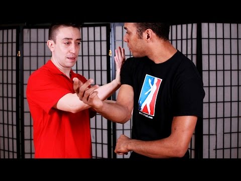 How to Do Pou Paai Jeung aka Double Palm | Wing Chun