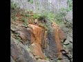 jump a dumbea