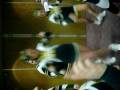 videos de Liz Ponte hyped up on amp before the competition....