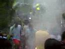 Mosquitoes in Belize.