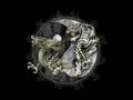 videos de Kim leoni - Medicine (Radio Mix)