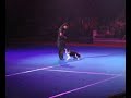Superdogs Dancing Dog