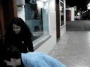 Morsa, Car�a, Jeh e Pinguim - Champagne na galeria uhull