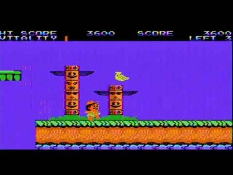 Master Takahashi's Adventure Island (1986, MSX, Hudson Soft)