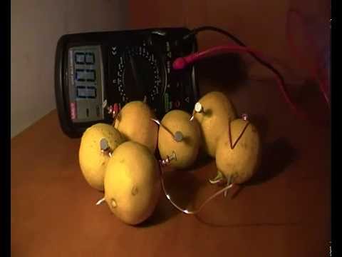 how to charge your phone with a lemon