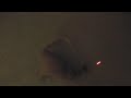 Dog and Cat Chasing Laser Dog and Cat Chasing Laser