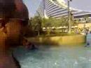 wild wadi duabi fahim najib amrullah guljan