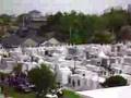 New Orleans Jazz Funeral Outside My Apartment Window, Part 1