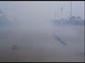 1968 mustang fastback burnout
