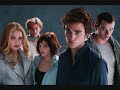 Everywhere (twilight pics)