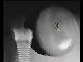 THE FLEW film excerpt3 stop-motion surreal wierd horror THE FLEW film excerpt3 stop-motion surreal wierd horror