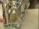 Flatware Caddy by Diane Markin-Material Possessions