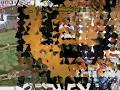 Frailty WoE