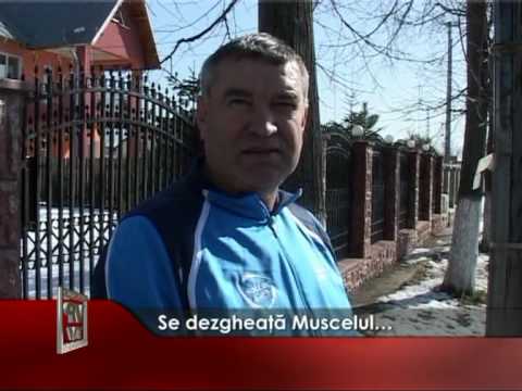 Se dezgheaţă Muscelul…