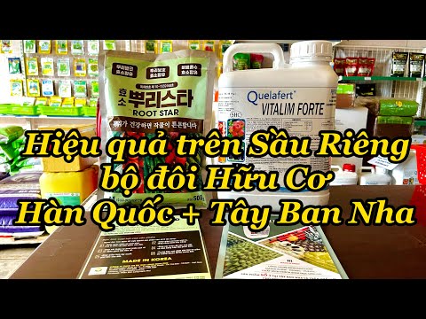 HIỆU QUẢ TRÊN SẦU RIÊNG CỦA BỘ ĐÔI HỮU CƠ (VITALIM FORTE + ROOT STAR) NHẬP KHẨU CHẤT LƯỢNG, BỀN VỮNG