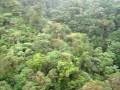 videos de Zip line in Costa Rican rainforest canopy, San Luis