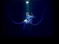 let me fall cirque du soleil
